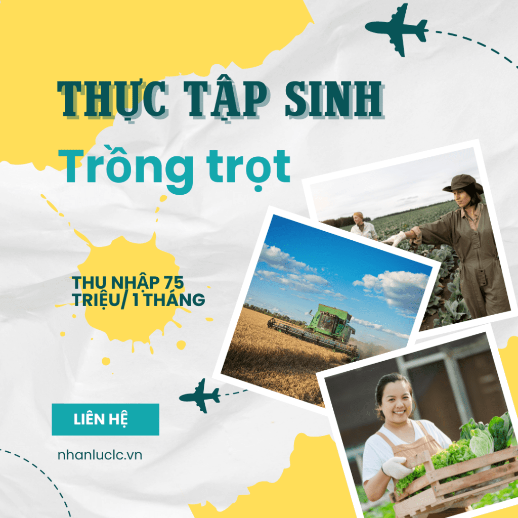 Thực tập sinh trồng trọt Mỹ